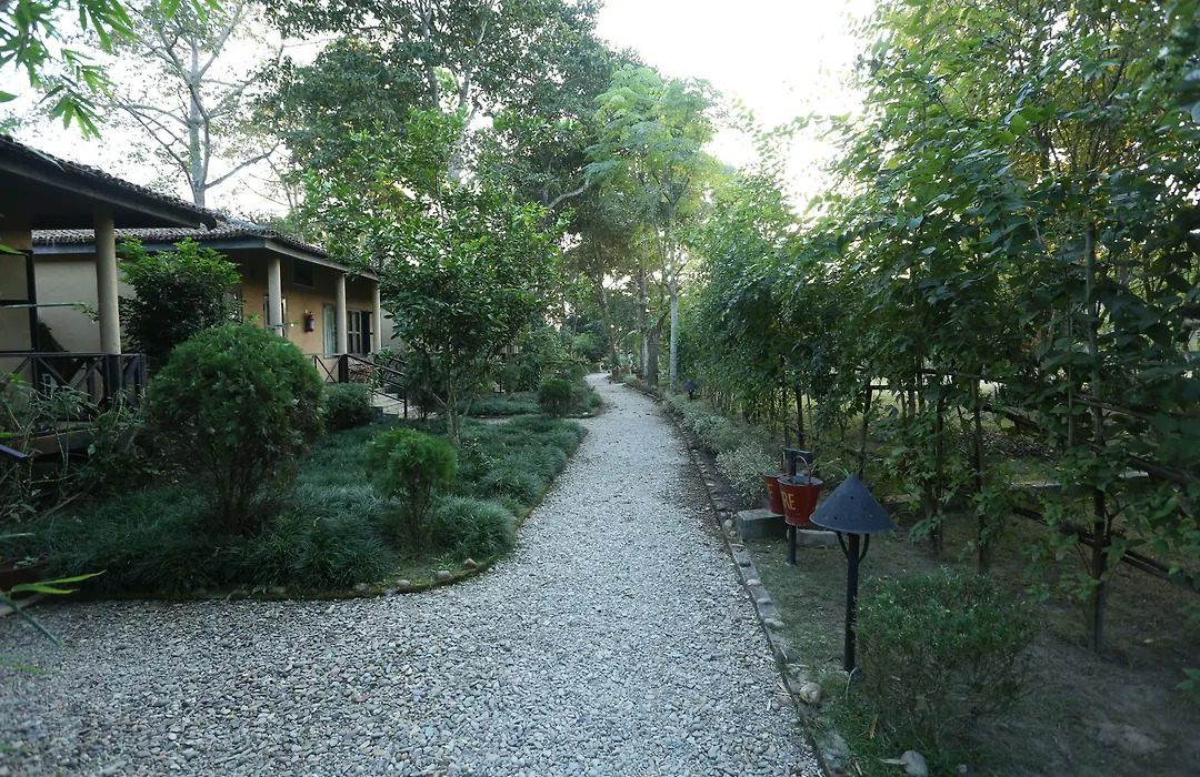Jungle Villa Resort - Near Chitwan National Park-1