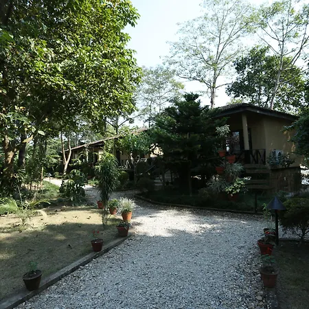Jungle Villa Resort - Near Chitwan National Park-2